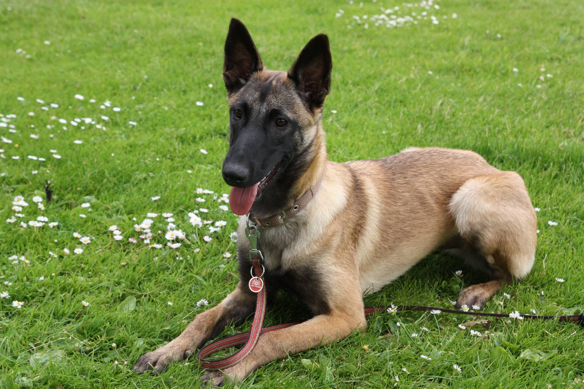 Elien Astra van Goeden Huize