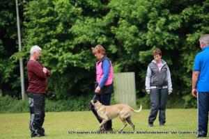 1-13246180 1725537007724919 4942219633038008123 o      