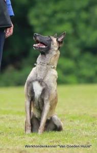 1-13254682 1725537194391567 3039190843362967793 o        