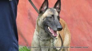 1-13265852 901883869922750 69223763768856825 n      