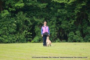 1-13268473 1725537264391560 1248785177019002269 o        