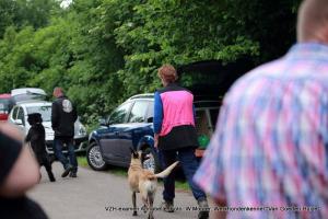 1-b deel 13221356 1725555327723087 8869082724383054882 o        