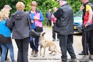 1-b deel 13268294 1725555471056406 5483598401337173716 o      