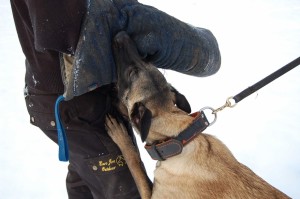 received 1129774987052644   