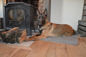 12420 525763257462774 160289037 n 