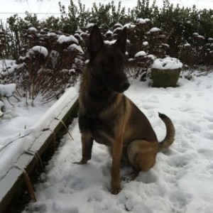 150791 492256954146738 777970314 n (1) 