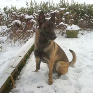 150791 492256954146738 777970314 n 