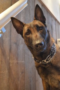 1654090 661341503904948 543748015 n 