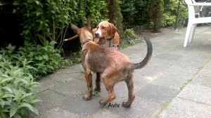 283727 415251265180641 1850662322 n 