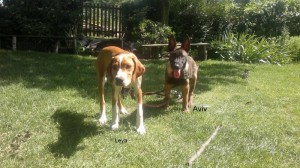 523624 416346711737763 1955795666 n 