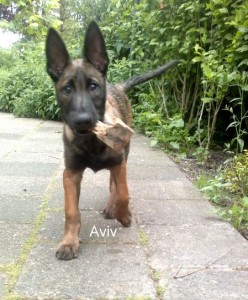 574903 415246548514446 1726432643 n-001 