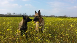 1-20140316 105230 (1)