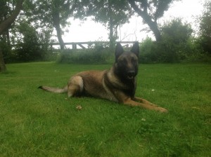 1006190 402496983201023 1061455691 n