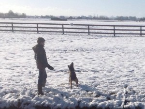 18215 339161199534602 2122236271 n