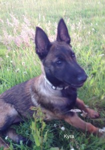 306987 337818669630325 858525710 n