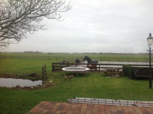 382215 339161792867876 409366487 n