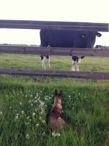 484639 337818922963633 850929492 n