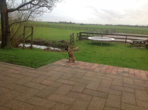 600064 339161606201228 614304566 n (1)