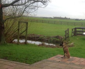 600064 339161606201228 614304566 n