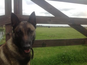 942603 402497086534346 1751645829 n