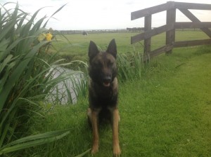 971487 402496853201036 913196587 n