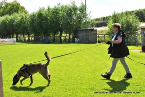 1-11390002 803475743100687 9135815764751057787 n    