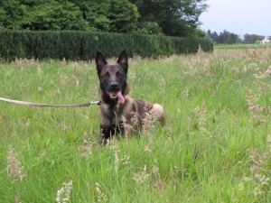 10329824 491260597670514 9119661824749237113 o     