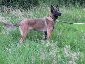 10338685 491260591003848 5735352063659244336 o     