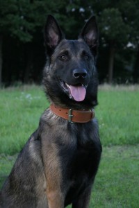 10507113 632758693489613 5130569965704807140 o     