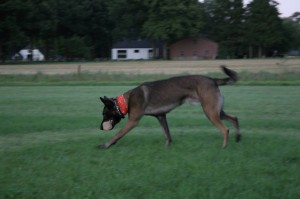 10683455 632758323489650 2078349645208207409 o     