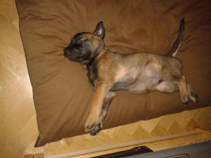 10983316 702719543160194 6663541678977999592 o     