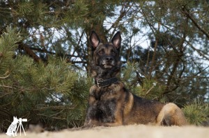 51794161 1473561179440446 2626491867235090432 o 