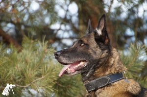 51801047 1473561159440448 8280610093859340288 o 