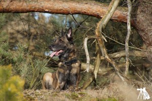 51844957 1473561086107122 698422606440693760 o 