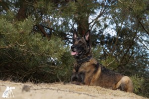 51929239 1473561172773780 4391460037021663232 o 