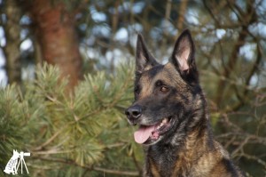 52002731 1473561236107107 4053691782955794432 o 