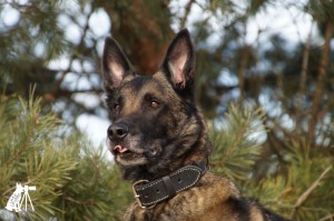 52072579 1473115842818313 4273041749946925056 o 