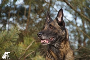 52136272 1473115852818312 5606513303036624896 o 