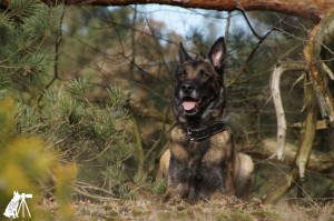 52460275 1473561082773789 7363114979609804800 o 