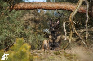 52532905 1473561096107121 3839483304134836224 o 