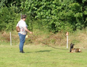 992776 338975082899067 1674628299 n     