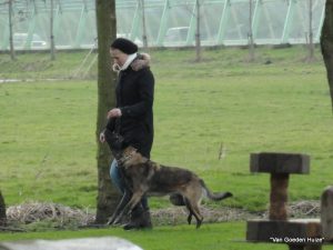 1-hoorn proefexamen 021