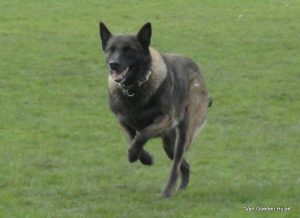 1-hoorn proefexamen 023