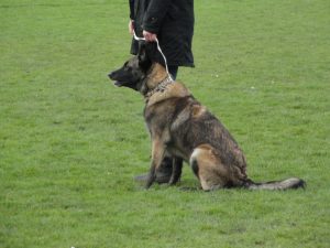 1-hoorn proefexamen 066