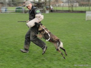 1-hoorn proefexamen 071