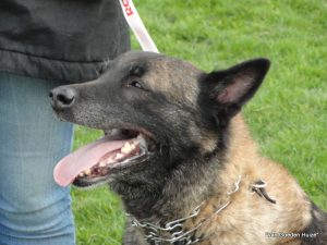 1-hoorn proefexamen 080