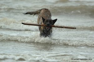 1523800 10151862701707105 987485949 o