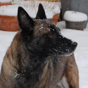 184763 566780396685442 1275296065 n