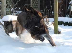 26612 104396829590470 5093594 n