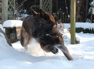 50922925 2413896615307135 808324501648441344 n